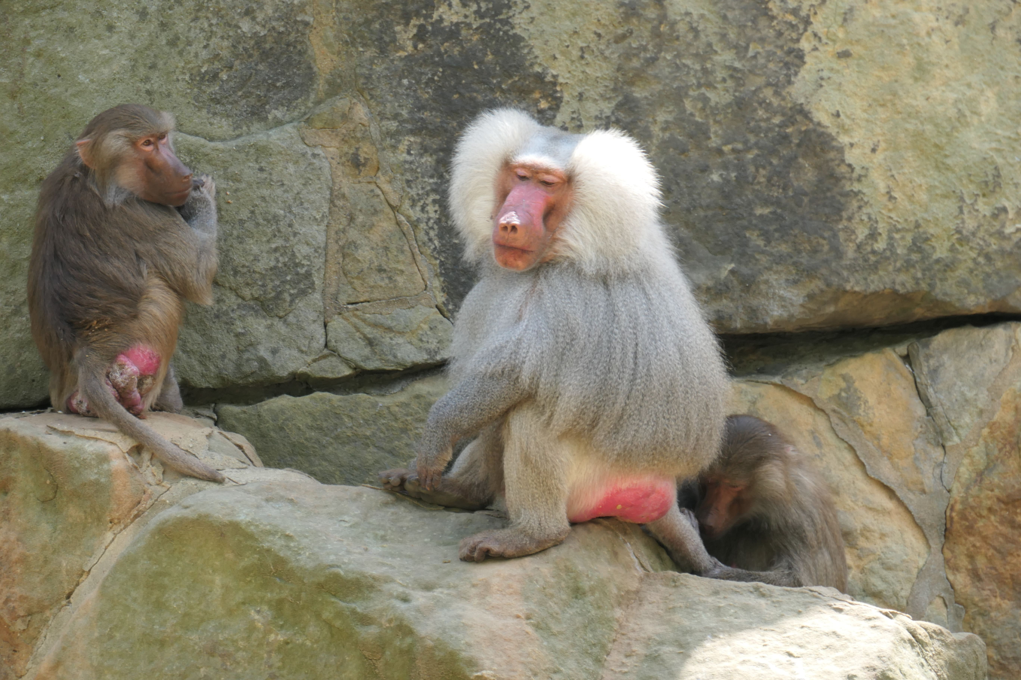 Tierpark Zoo  32
